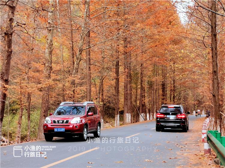 陕西秦岭这条自驾线路，堪称最美赏秋地！老司机凑时间也该走一次