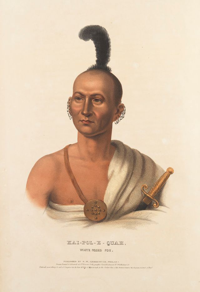 旧影拾记：19世纪，印第安人到华盛顿谈判，美国画家给他们画像