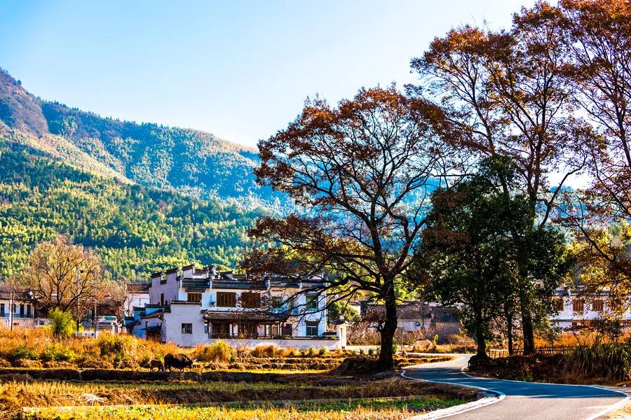 10-12月旅行时间表出炉，任意挑一个出发，不辜负时光