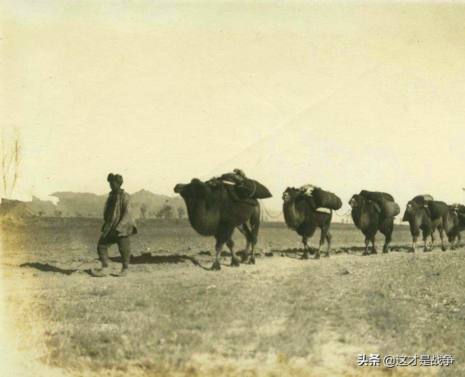 1951年，一个小战士干了一件轰动大西北的事，救了全军的命