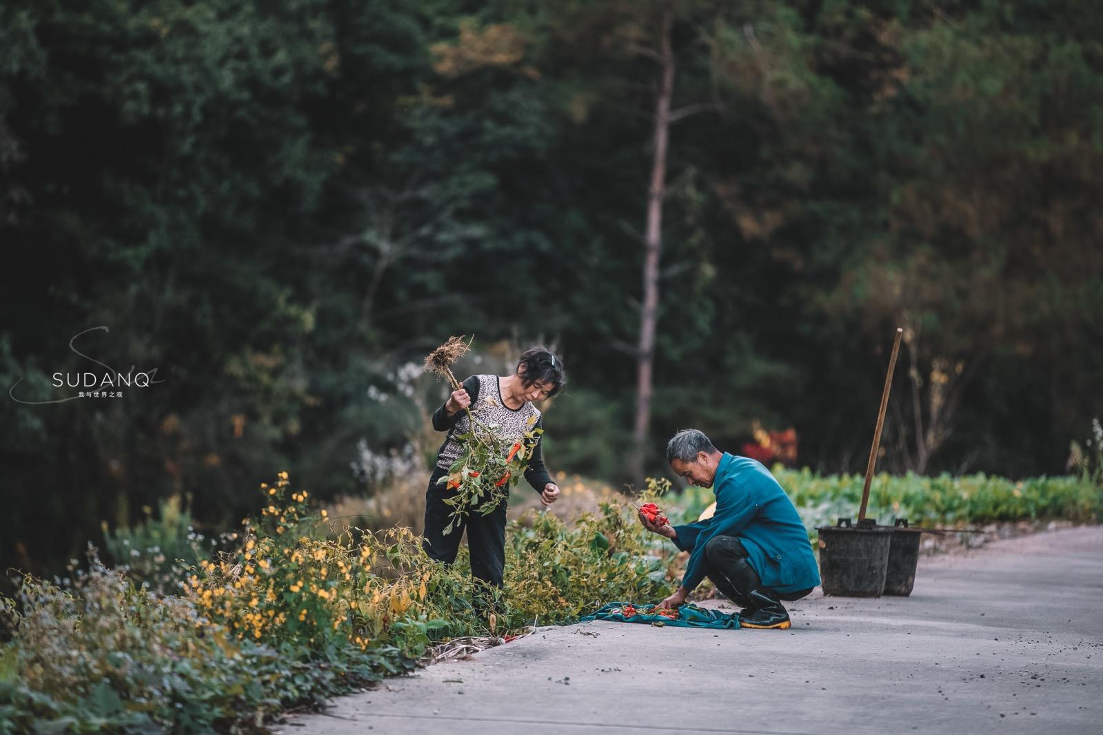 一生痴绝处，就想去徽州：推荐一个你从未耳闻目睹的古村落