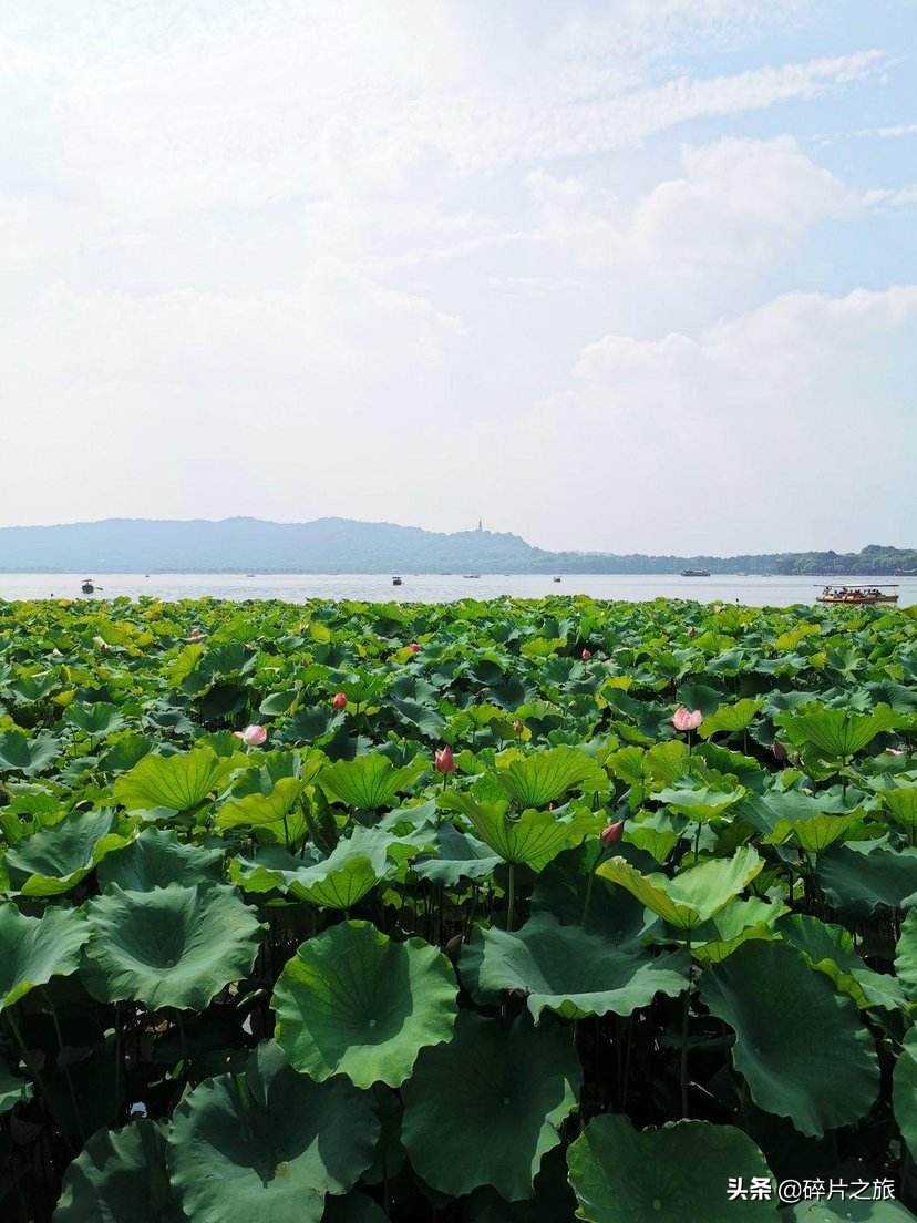 上有天堂，下有苏杭。假期你一定要看的杭州旅游攻略