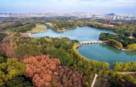 武汉最浪漫的公园，被称为“普罗旺斯”，正值花期门票免费