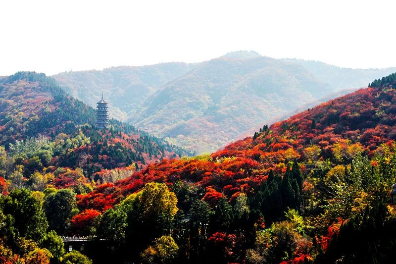 10月旅行地推荐！国内第一批绝美秋景出炉，第一个就心动……