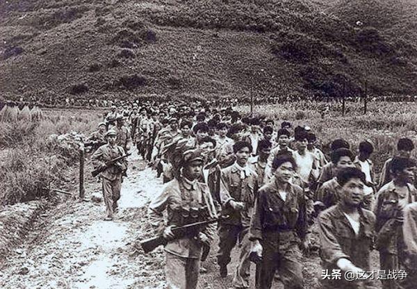 朝鲜战争后，全世界都对志愿军展开研究，英国人的评价绝了