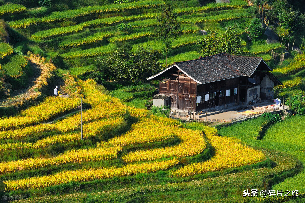 一生一定要去一次梯田，这些地方人少景美，值得我们去打卡