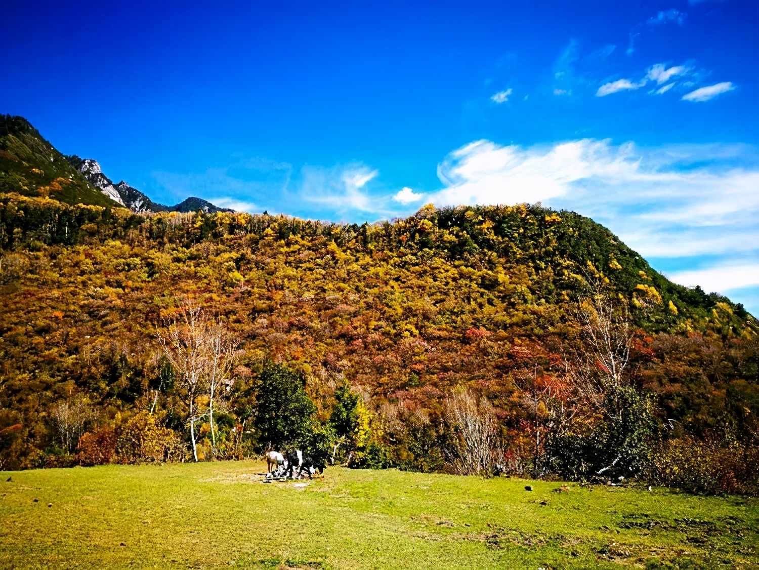 四川这个地方美疯了！处处都是画一般的风景，是摄影爱好者的天堂