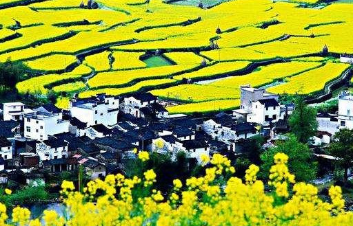 哭泣的村庄：一个中国农大研究生的回乡日记