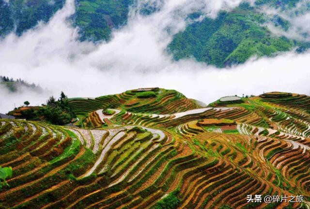 一生一定要去一次梯田，这些地方人少景美，值得我们去打卡