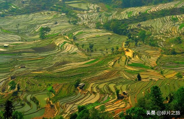 一生一定要去一次梯田，这些地方人少景美，值得我们去打卡