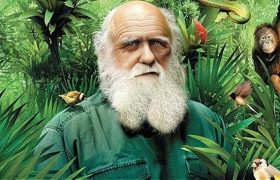进化论的“软肋”：5亿多年前，地球上为何会突然出现大量物种？