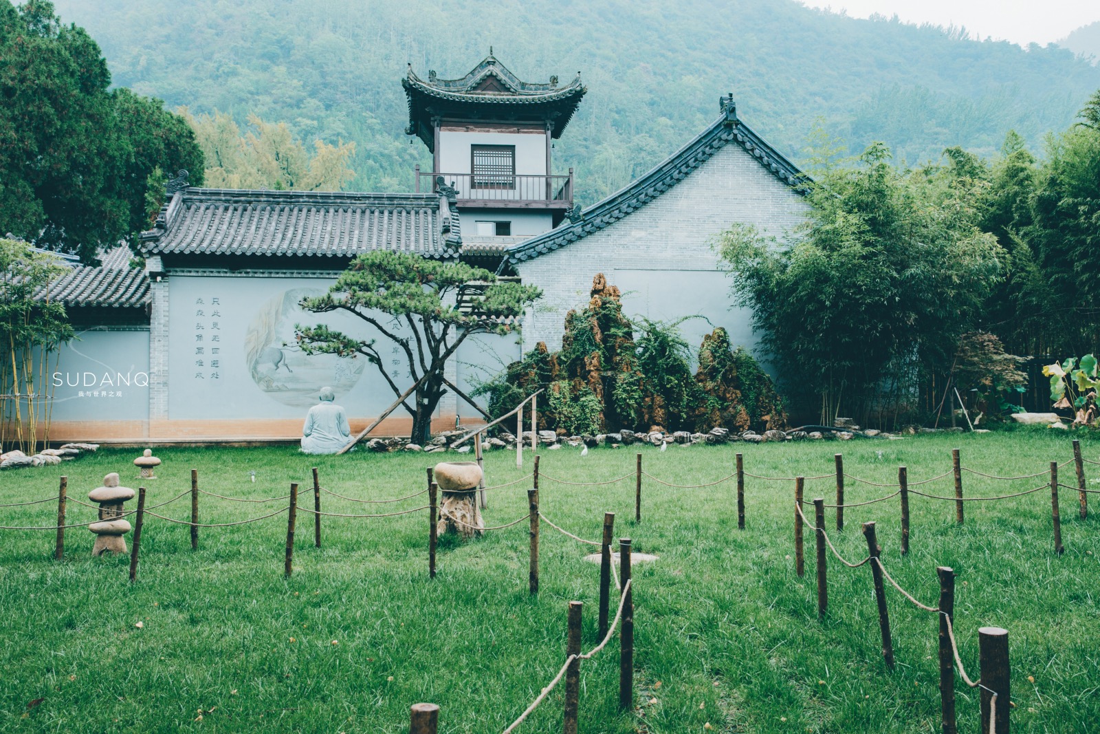 因一棵树而火遍全网，西安这座千年古寺不简单，相传是唐太宗所建