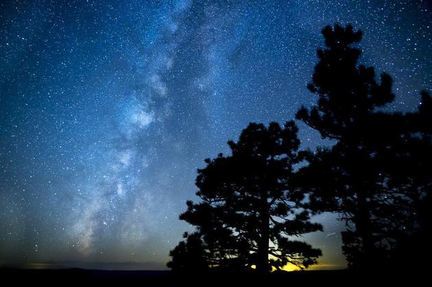 我们在夜空中看到的星星是否有的已经死亡？