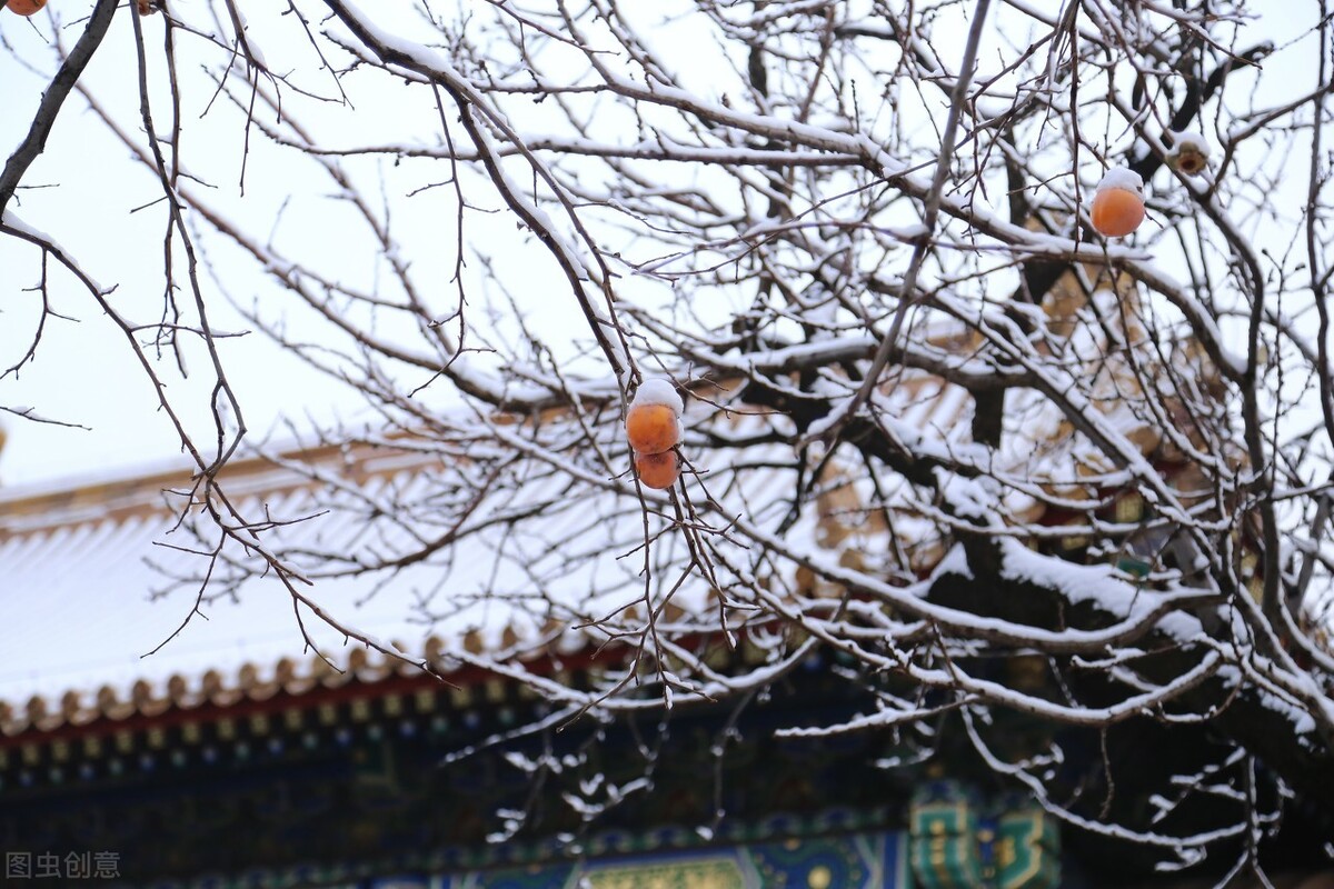 高手写雪，不去渲染下雪的热闹，他们的雪景诗词，1句顶1万句