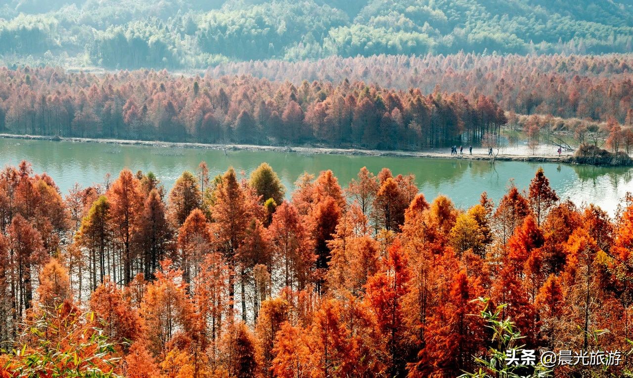 11月最佳旅行地，美到你不想回家