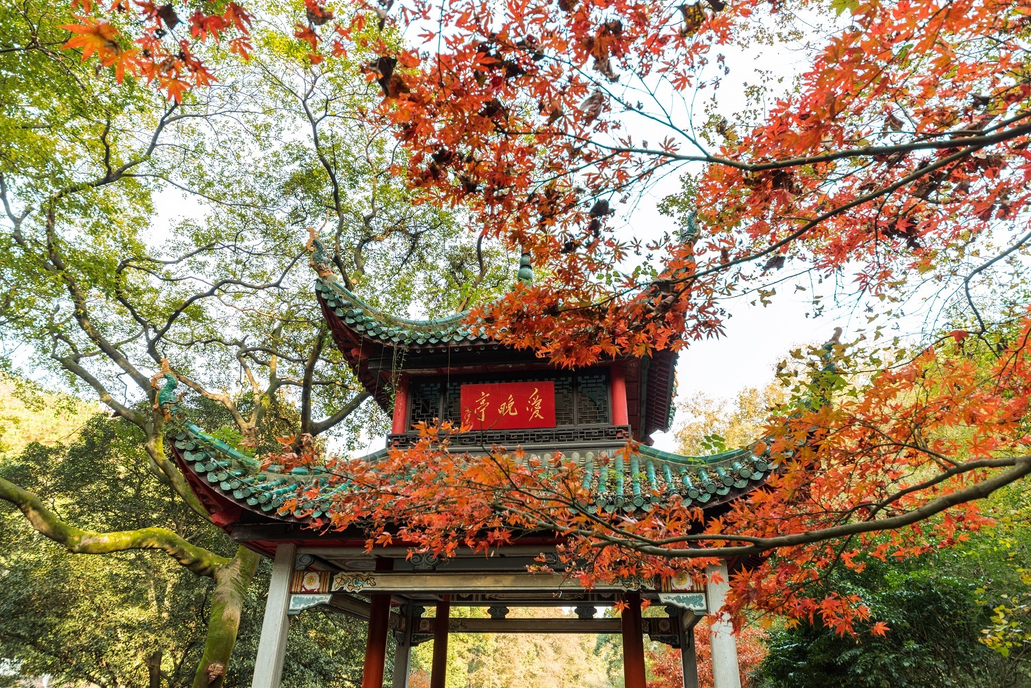 这些色彩里，藏着中国绝美的秋天