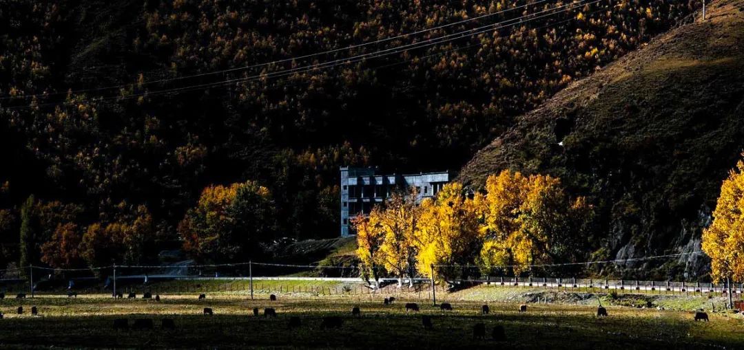 川西绝美的三条自驾路线，雪山彩林湖泊，涵盖了无数美景