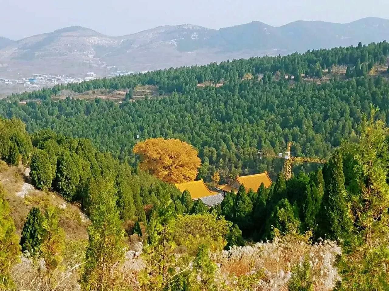 济南的千年古刹淌豆寺，一泉一树一禅寺，流金淌银染成诗