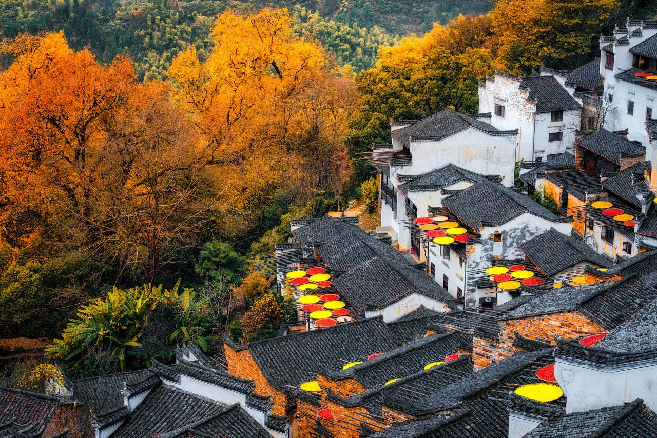 这些色彩里，藏着中国绝美的秋天
