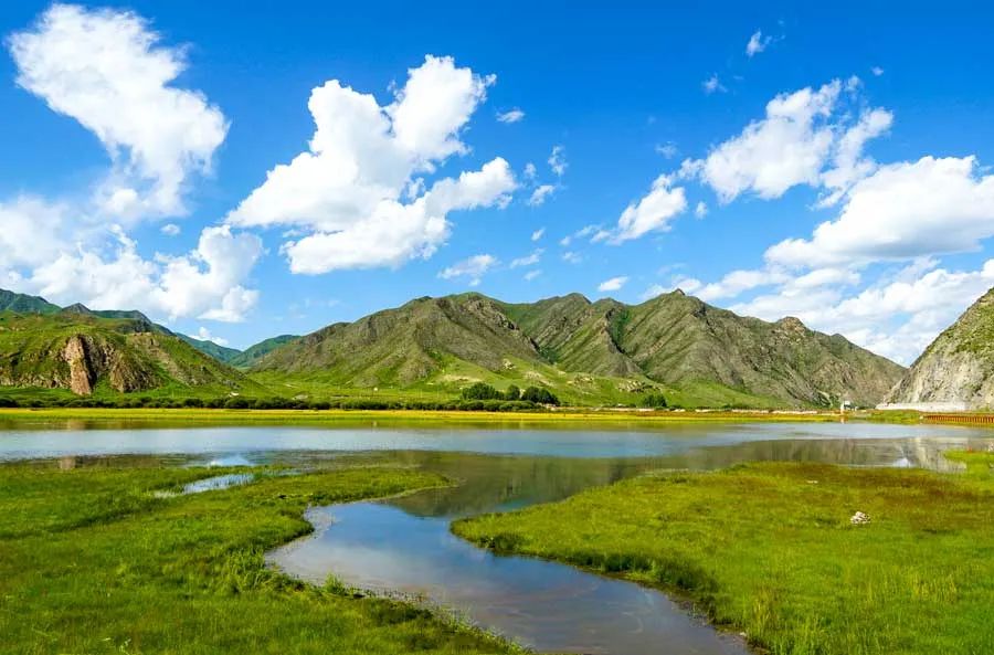 一到秋天，草原就成了摄影圣地，美得令人难以自拔