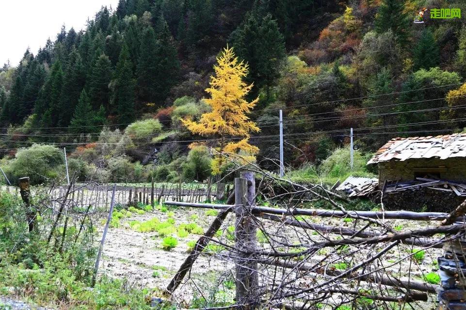 川西一个小县城，风光大好，许多游客说它是“浓缩版的川西”