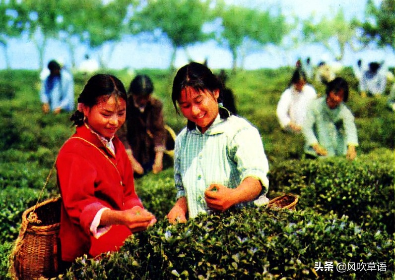 江西老照片：1972年的鹰潭余江县（今余江区）