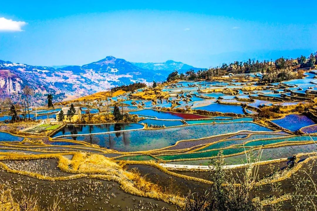 周迅刘雯新综艺取景云南，这个宝藏旅行地美到犯规，一见就爱上