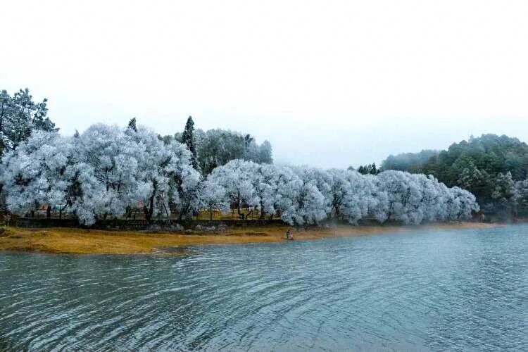 周迅刘雯新综艺取景云南，这个宝藏旅行地美到犯规，一见就爱上