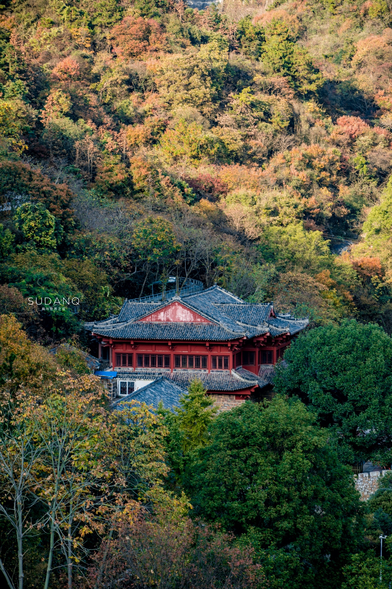 武汉人真幸福！一座山就是最大城郊公园，还藏有国内最大恐龙谷