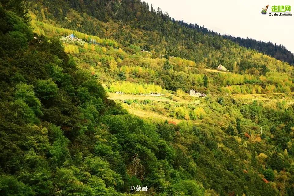 川西一个小县城，风光大好，许多游客说它是“浓缩版的川西”