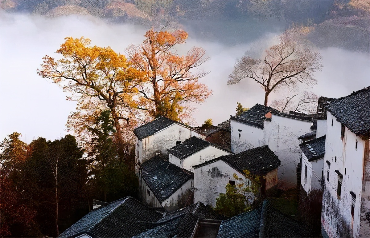 央视点名的秋色已上线！魔都3h即达住一线风景，现在去正好