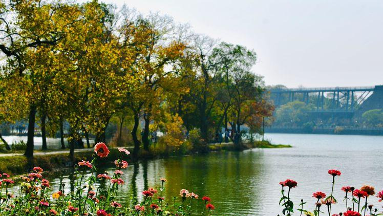 南京的秋天从前湖开始，当月牙堤上乌桕树红透之时，自是醉美