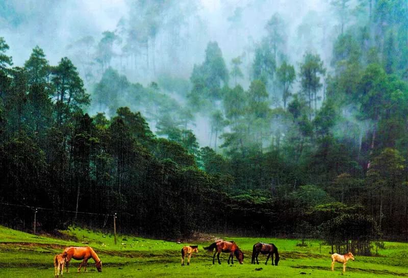 周迅刘雯新综艺取景云南，这个宝藏旅行地美到犯规，一见就爱上