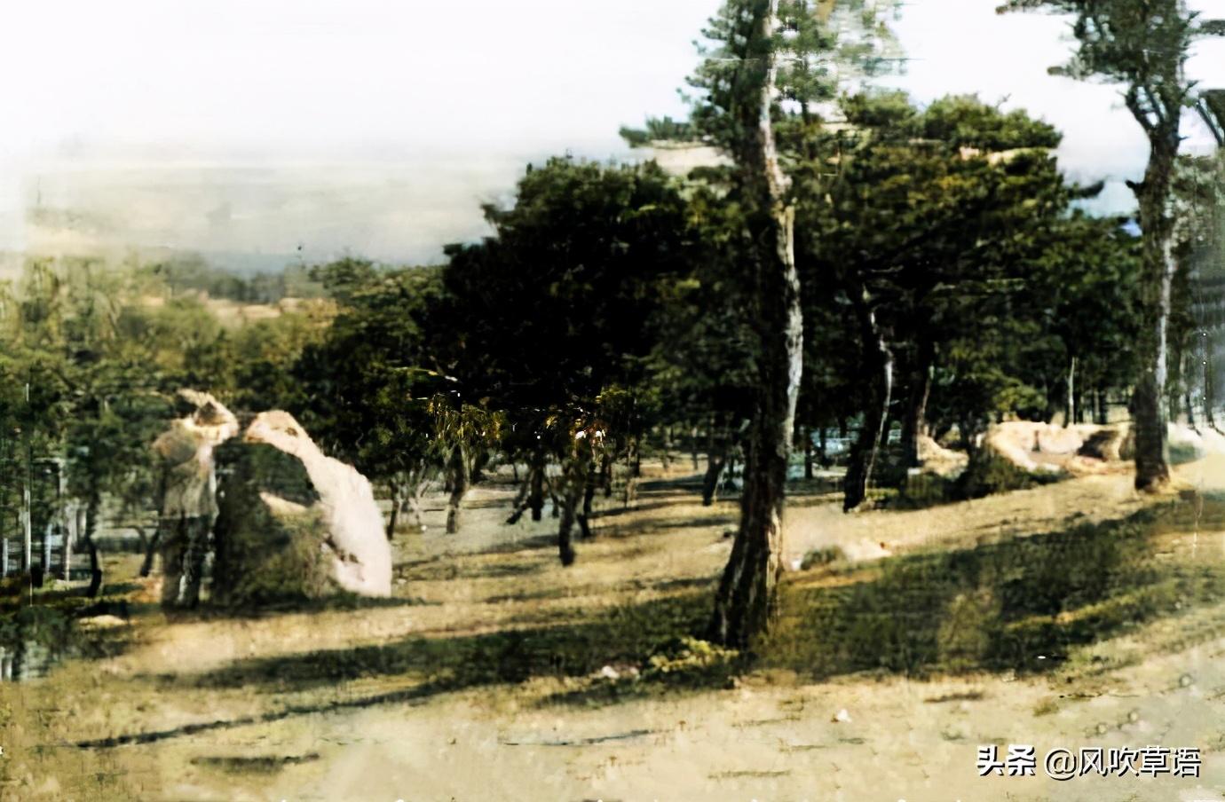 辽宁营口老照片：民国时期熊岳城宝泉山的松游园和果园