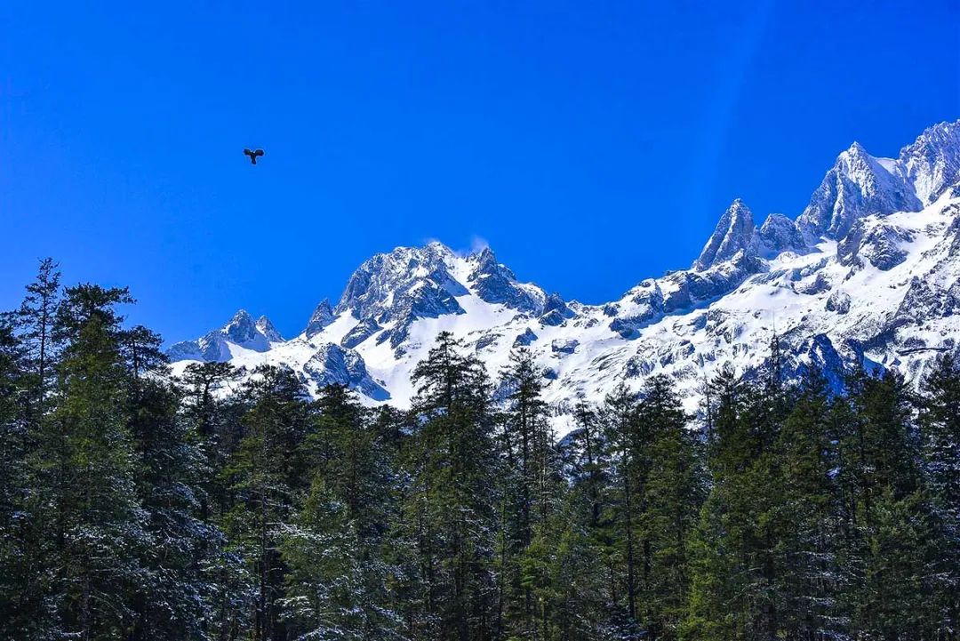 川西绝美的三条自驾路线，雪山彩林湖泊，涵盖了无数美景