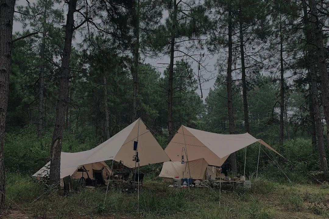 杭州夫妻财务自由后，在野地搭帐篷生活，看到最美的清晨