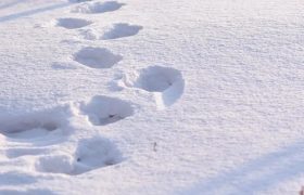 东北以北绝美雪景，零下30°的童话王国，邂逅另类北极光