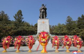 朝鲜战场指挥权的分歧：志愿军和朝鲜人民军，到底谁该听谁的