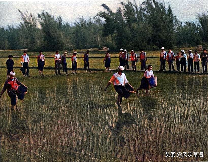 1974年的云南瑞丽老照片