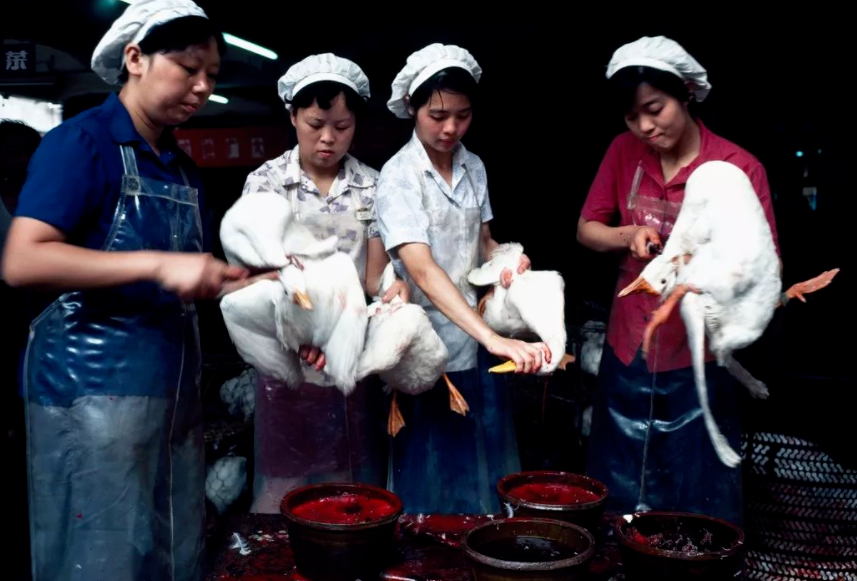 日本人拍下40年前的中国：原来我就是副食店挂着的大猪头
