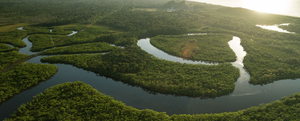 亚马逊河到底有多可怕？为什么连当地人都不敢在里面游泳？