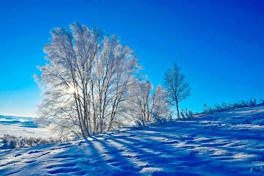 比呼伦贝尔美，比锡林郭勒壮观，大雪后的坝上草原如仙境