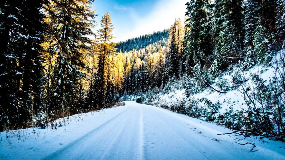 最适合冬季自驾的高颜值线路，驰骋在路上，享受冬日的视觉盛宴