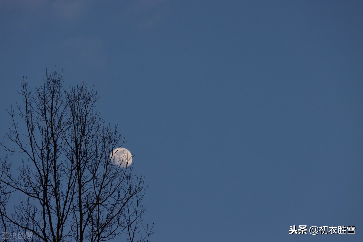 下元节的月亮与月光诗五首，雪月交光夜，瑶台十二层