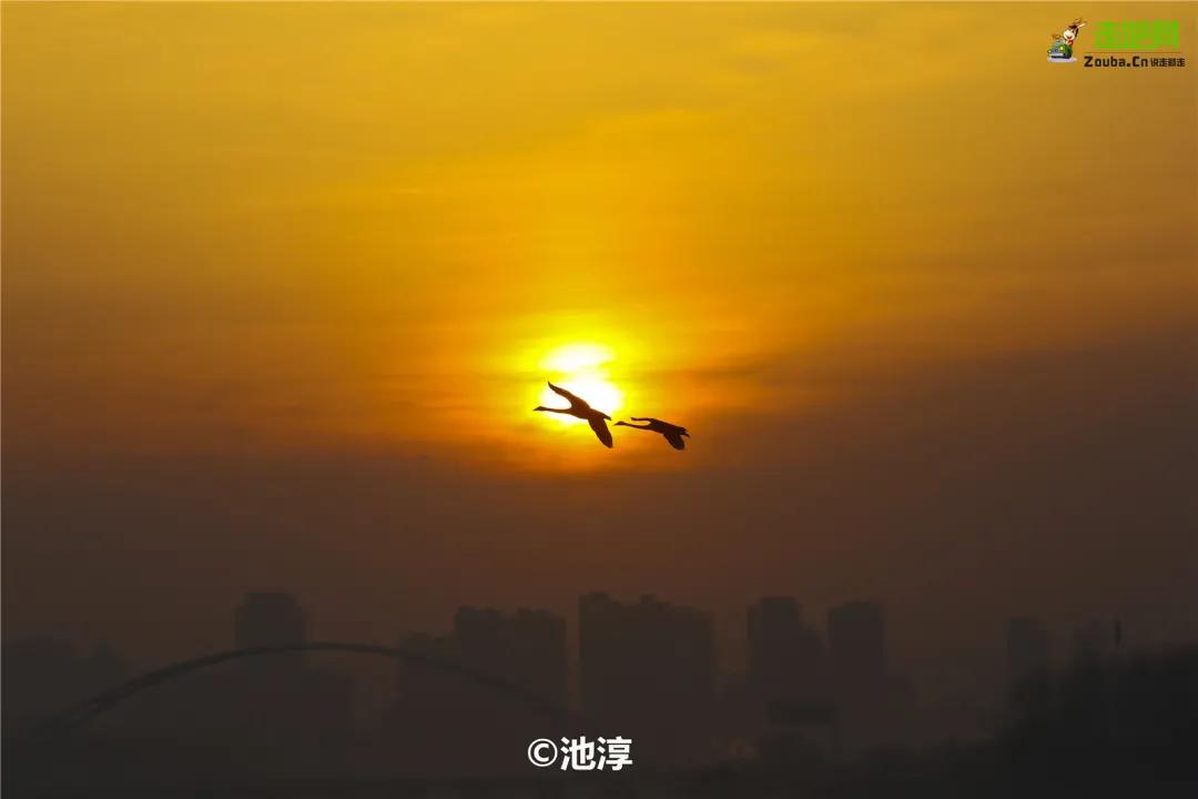 1月最佳旅行地推荐，真正最值得去的景点，人少景美千万别错过