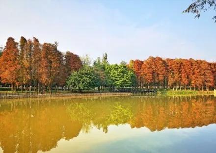 1月最佳旅行地推荐，真正最值得去的景点，人少景美千万别错过