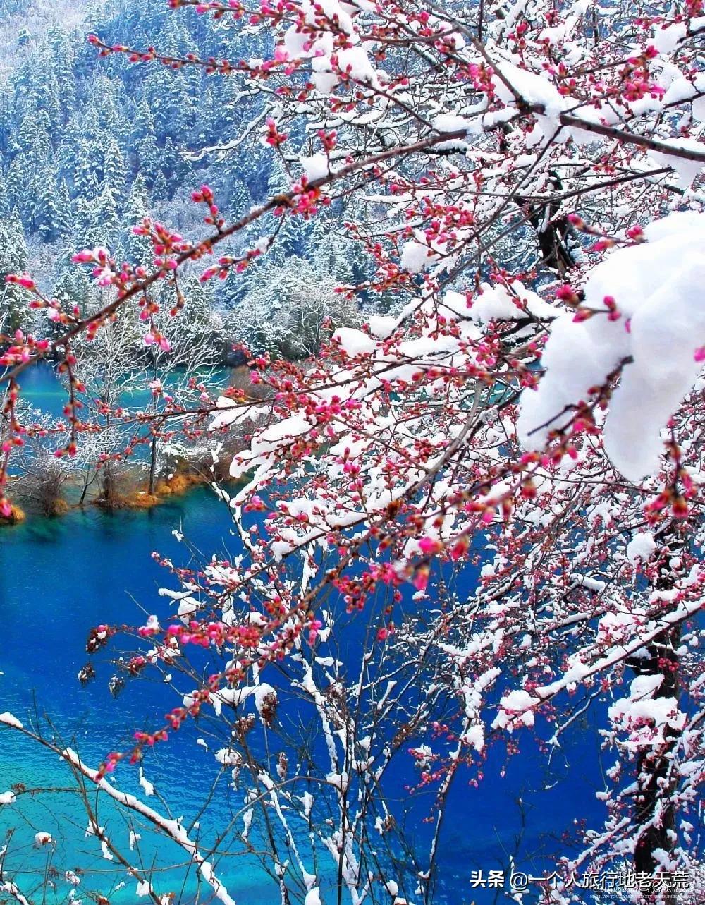 看完中国最美40个雪景，瞬间沦陷了！60岁前必去，你去过几个
