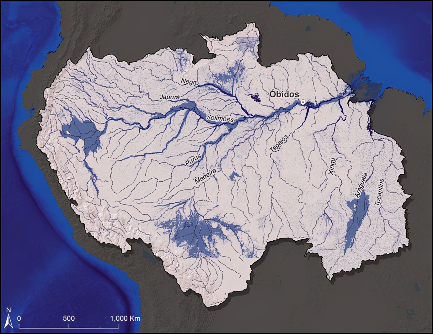 亚马逊河到底有多可怕？为什么连当地人都不敢在里面游泳？