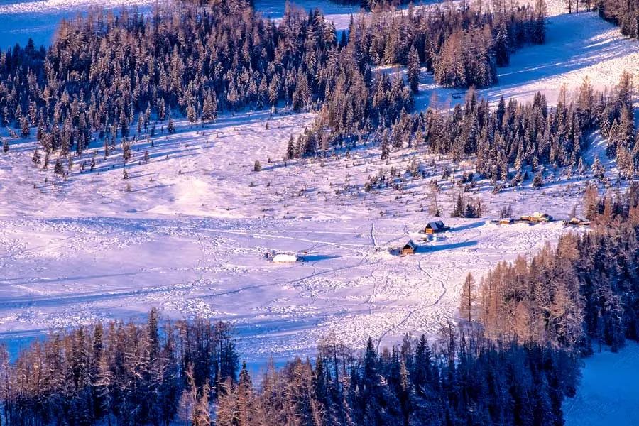 冬季国内必去旅行地top7，赏雪看樱花，年末的狂欢