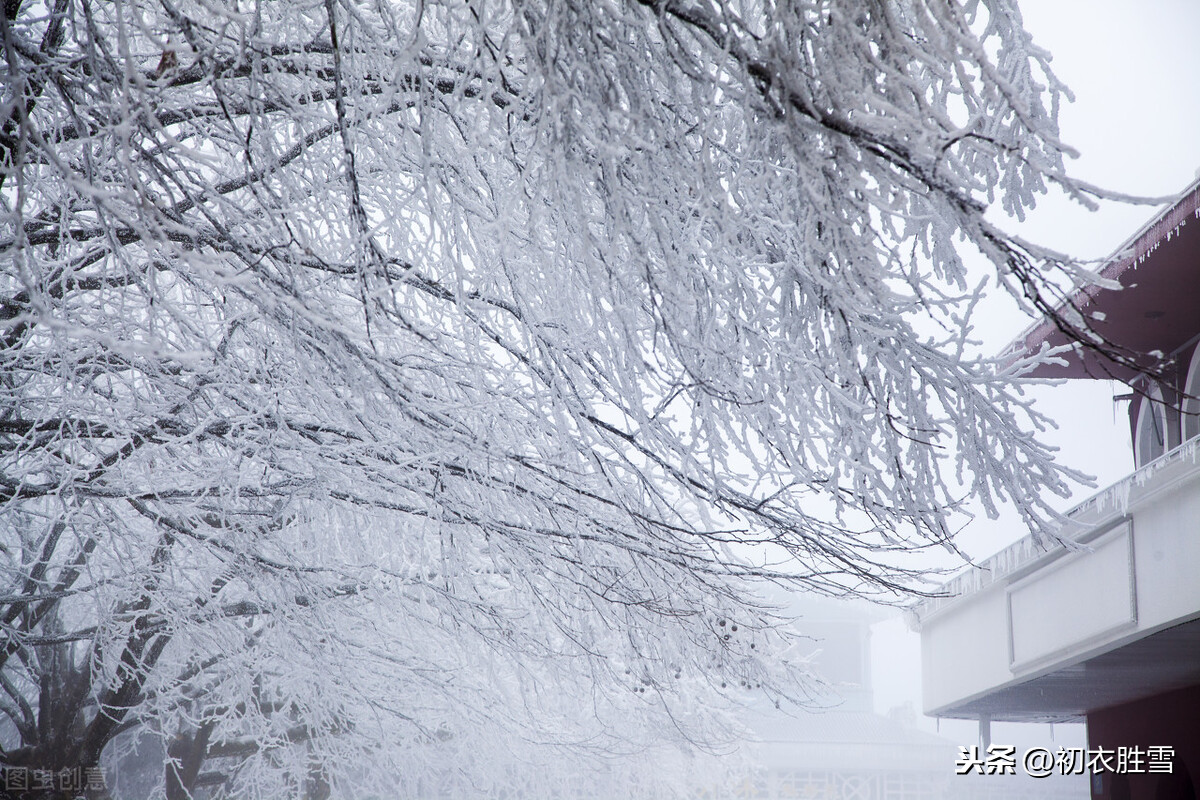 大雪节气大雪诗，月是小春春未生，节名大雪雪何曾？